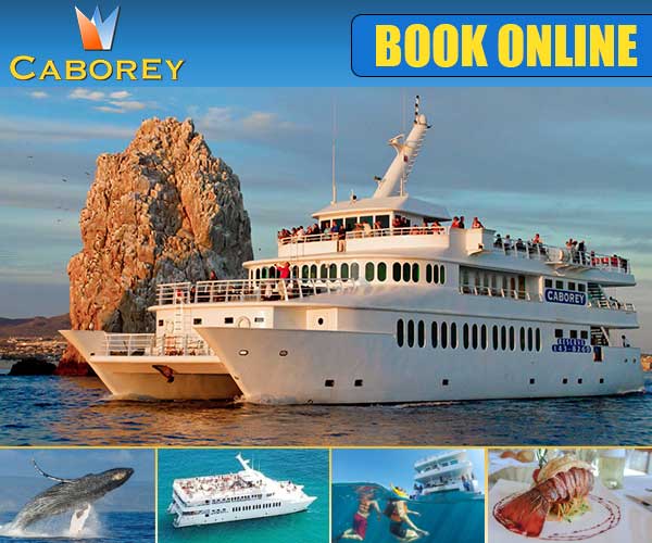 Online booking for Cabo Rey tours in Cabo San Lucas