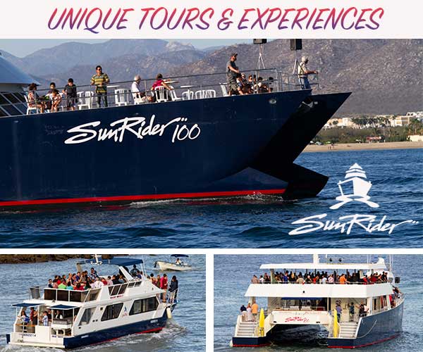 Sunrider boat tours in Cabo San Lucas