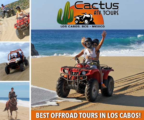 Offroad, ATV, horseback rides in Cabo.