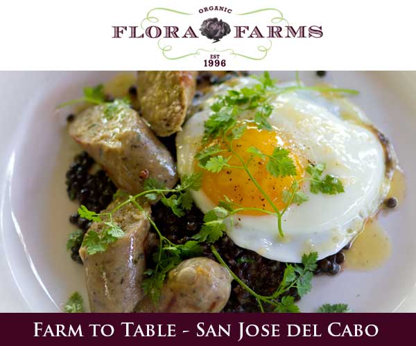 Farm to table restaurant in San Jose del CAbo.