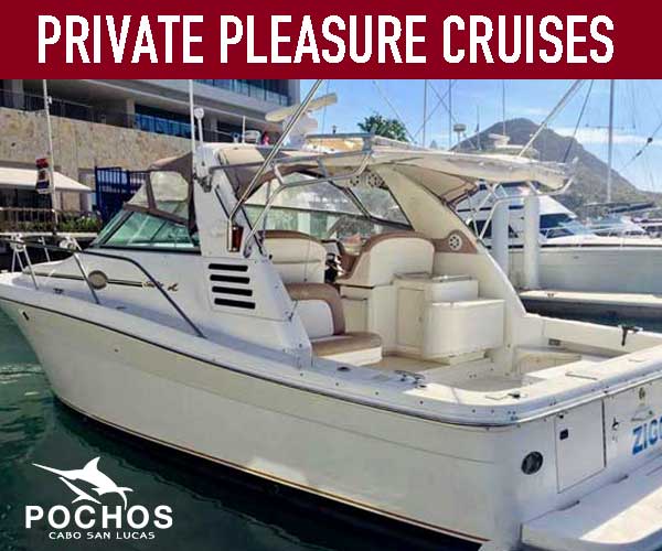 Private boat charter tours in Cabo.