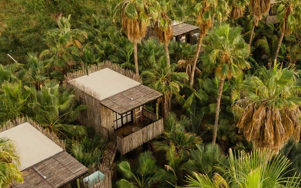 Treehouses at Acre Resort in Animas Bajas, San Jose del Cabo 