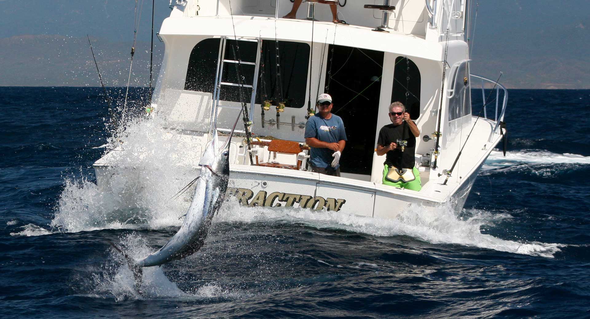 Striped marlin jumping behind boat in Cabo San Lucas