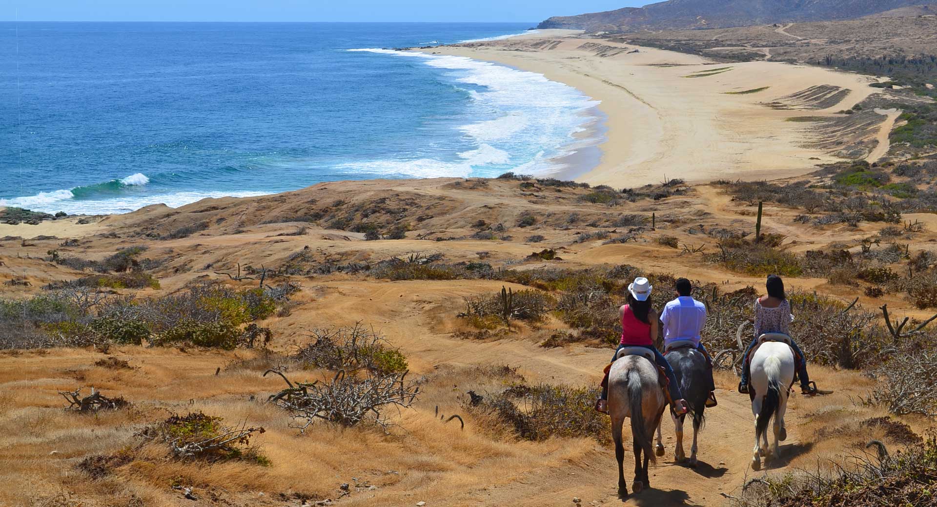 Riding horses to the beach in Cabo San Lucas.