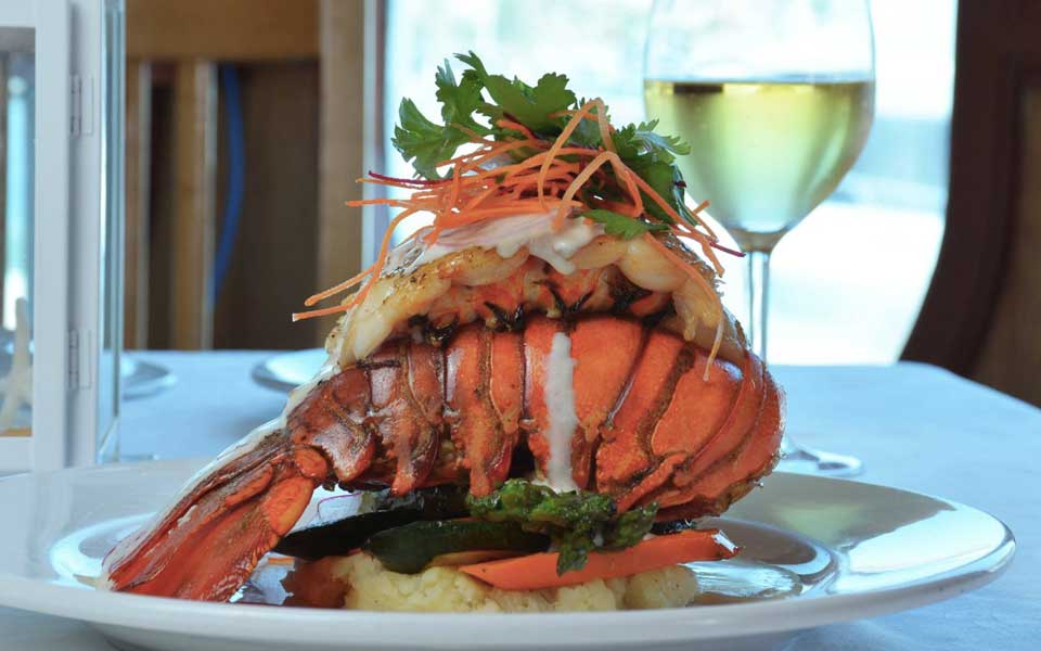 Lobster dinner aboard the Cabo Rey Sunset Premier Dinner Tour