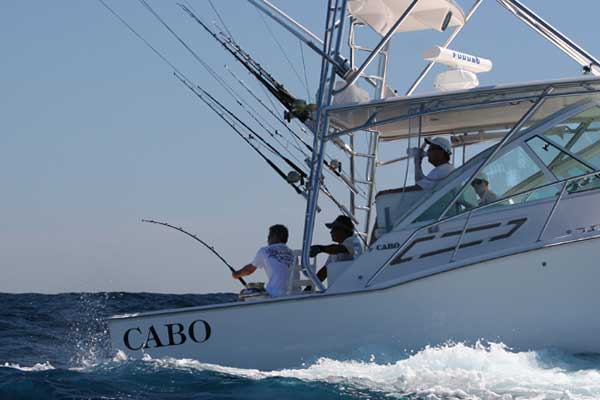 Deep sea fishing charters in Cabo San Lucas