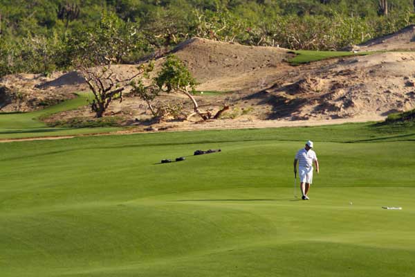 Golfing in Cabo.