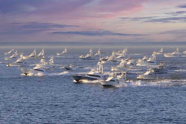 Cabo is home to many fishing tournaments