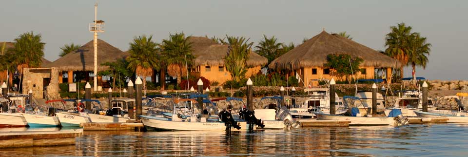 Chateaubriand, Cabo Rey Shrimp and dessert flight served on Premier Dinner Tour