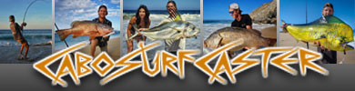 Recommended surf fishing guide in Cabo San Lucas