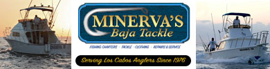 Recommended fishing charter boats in Cabo San Lucas