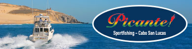 Recommended fishing charter boats in Cabo San Lucas